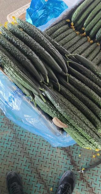 现货农产品(农产品现货交易员招聘骗局一天6小时)