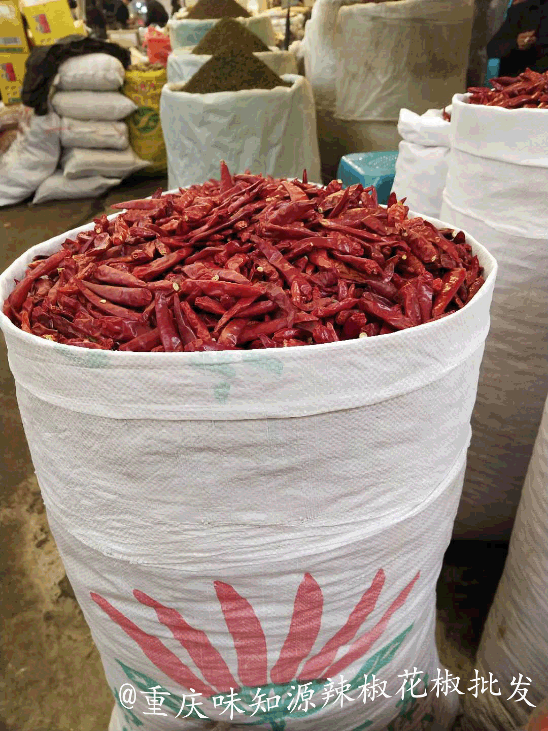 现货怎么炒(农产品现货交易平台)