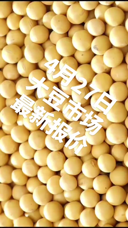 大豆现货价(大豆现货报价)